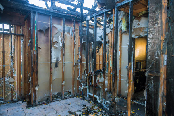 Professional Odor Removal technician working in Crystal Beach, FL