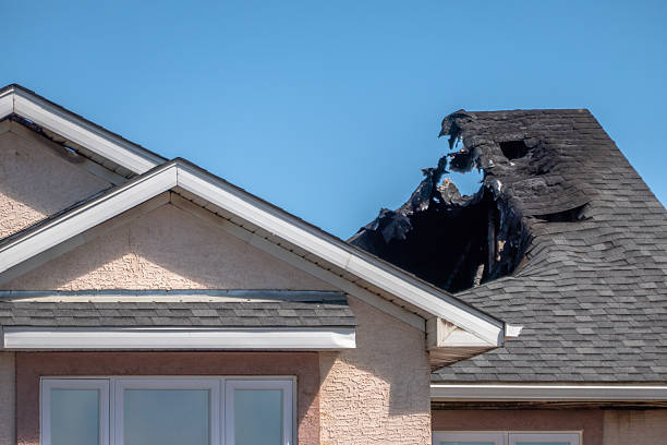 Top rated local Odor Removal specialists in Crystal Beach, FL
